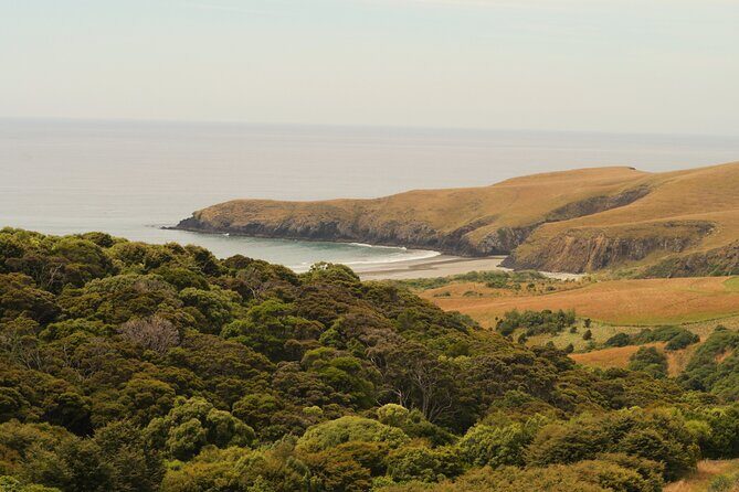 Wildlife and Penguin Tour - Small-group format: why max 15 is better than a crowd