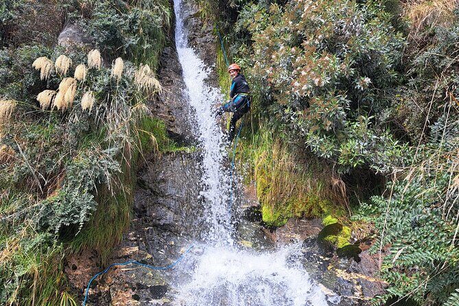 Wildwire Wanaka- Climb & Canyon (4-5 Hours) - Cable Climb and Abseil Skills: Exactly How Beginners Handle It