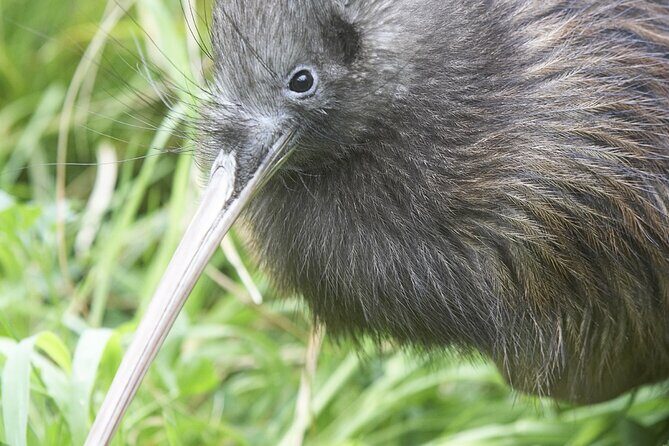 Willowbank Wildlife Reserve Day Entry - Walkways, water views, and why the reserve feels relaxing