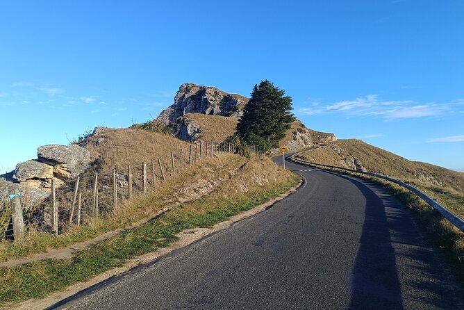 Wine & Sightseeing Cruise Tour 2.5hr | Award Winning Experience - The Van Ride: Mercedes Sprinter Luxury or BYD Atto 3 Comfort