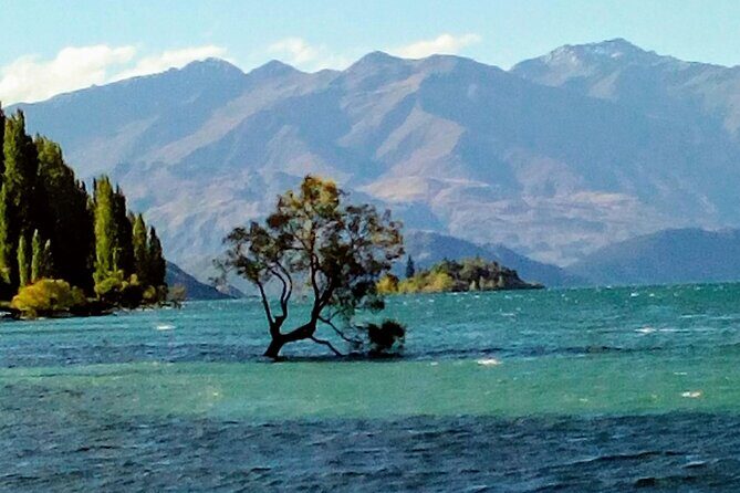 Wine Tasting Adventure Wanaka and Beyond - Cromwell on the 45th parallel: pretty views plus real grape-country context