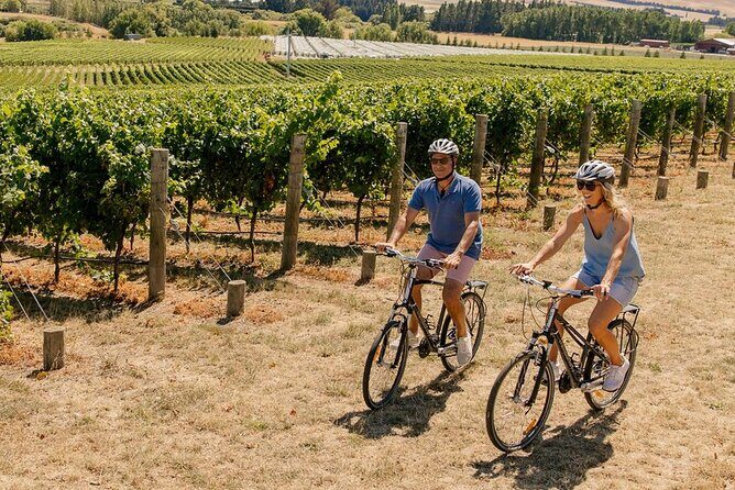 Wine trail and Christchurch City - Luxury, Small Group Tour - Who should book this Waipara and Christchurch day tour?
