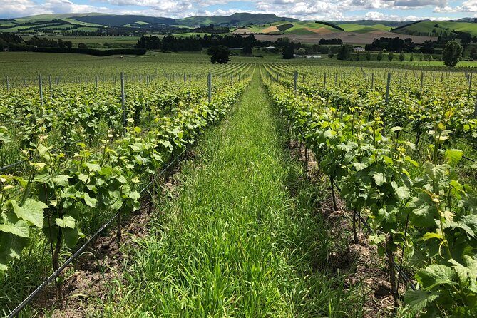 Wine trail and Christchurch City - Luxury, Small Group Tour - Practical tips to get the most from Waipara and Port Hills