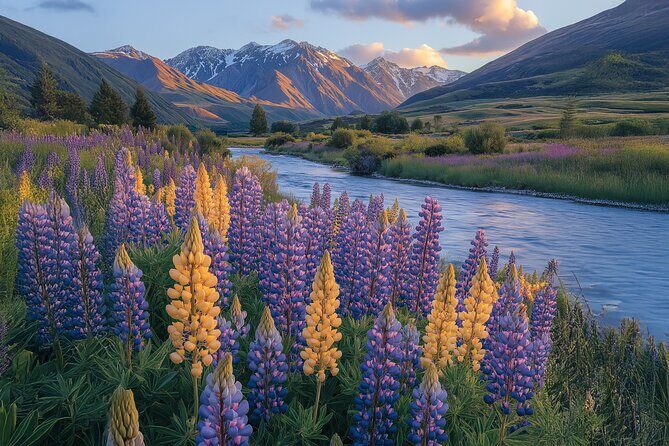 Wines and Views Private Wine Tour of Otago from Queenstown - How the Private Guide Changes Your Wine Tour Experience