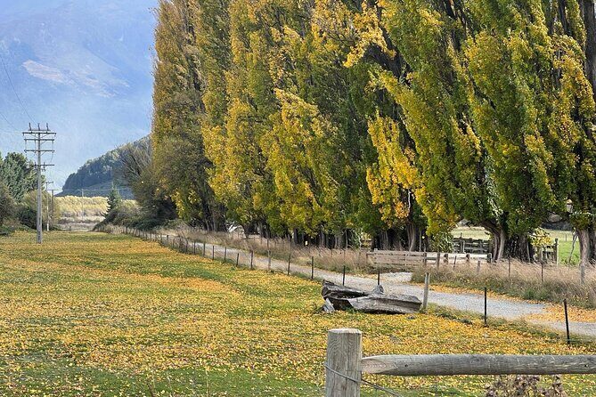 Wines and Views Private Wine Tour of Otago from Queenstown - Who This Tour Fits Best in Your Plans
