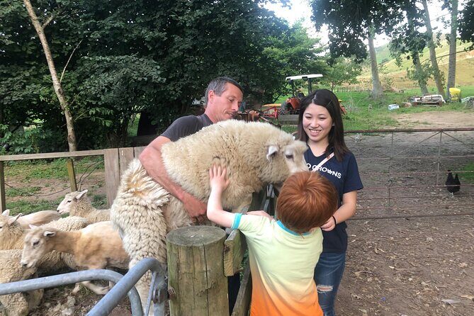 Wool Sheep Farm Experience with Handmade Wool Hat in New Zealand - Key takeaways