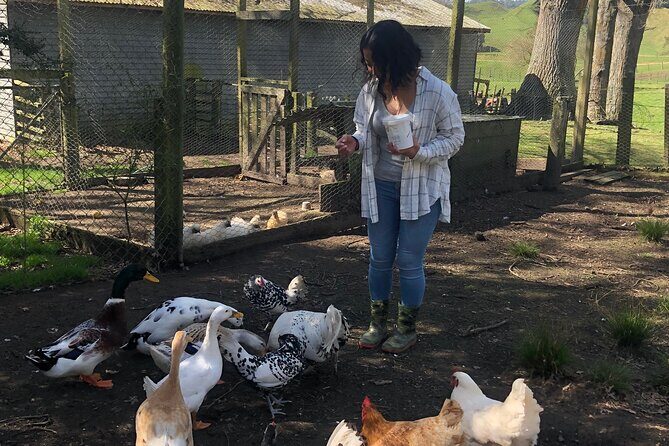 Wool Sheep Farm Experience with Handmade Wool Hat in New Zealand - First stop: getting into farm rhythm with Angie