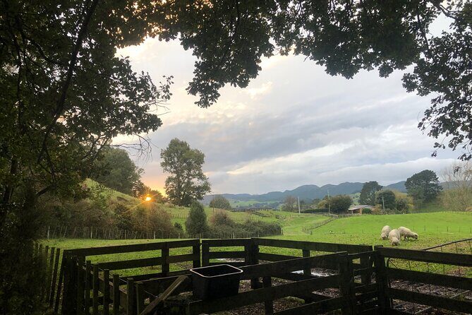 Wool Sheep Farm Experience with Handmade Wool Hat in New Zealand - The New Zealand wool story you can actually remember