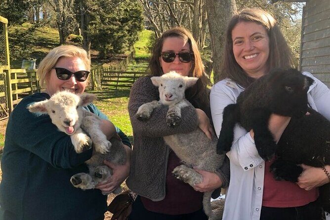 Wool Sheep Farm Experience with Handmade Wool Hat in New Zealand - Wool after it’s shorn: seeing the whole path from fleece to yarn