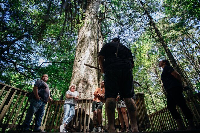 Your Kiwi Cultural Connection with Tu Tika Tours - Mount Parihaka War Memorial: views plus the biggest Māori Pa site story