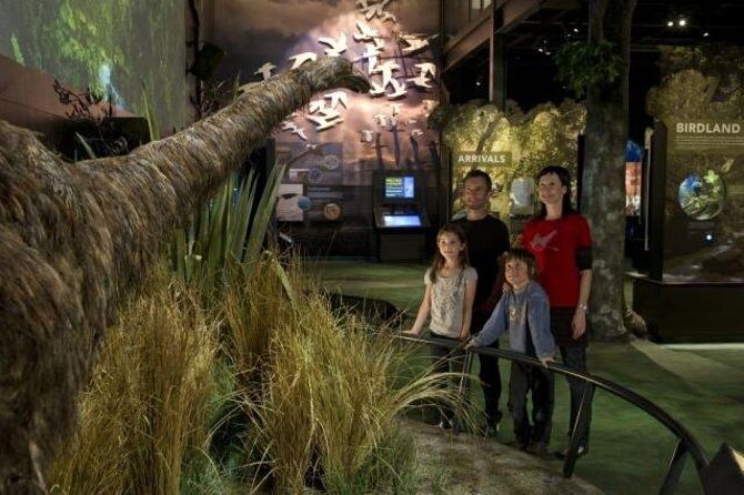 Zealandia Small Group Eco Wildlife Night Tour - Key things I think you’ll notice fast