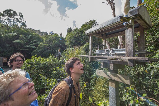 Zealandia Small Group Eco Wildlife Night Tour - The light-and-sound show: 1,000 years of change in a compact experience