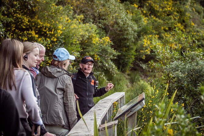 Zealandia - Twilight Guided Eco Wildlife Tour - How long is it, and what’s the pace really like?