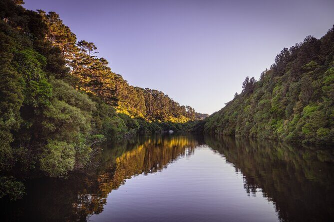 Zealandia - Twilight Guided Eco Wildlife Tour - The opening exhibition: get your bearings before the trail